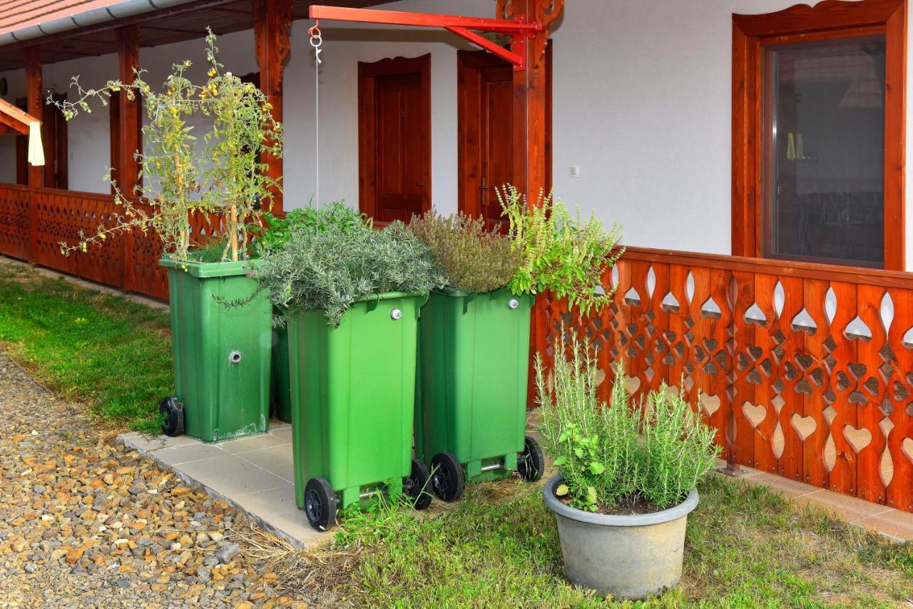 Nyakiglab Villa Szegi 外观 照片
